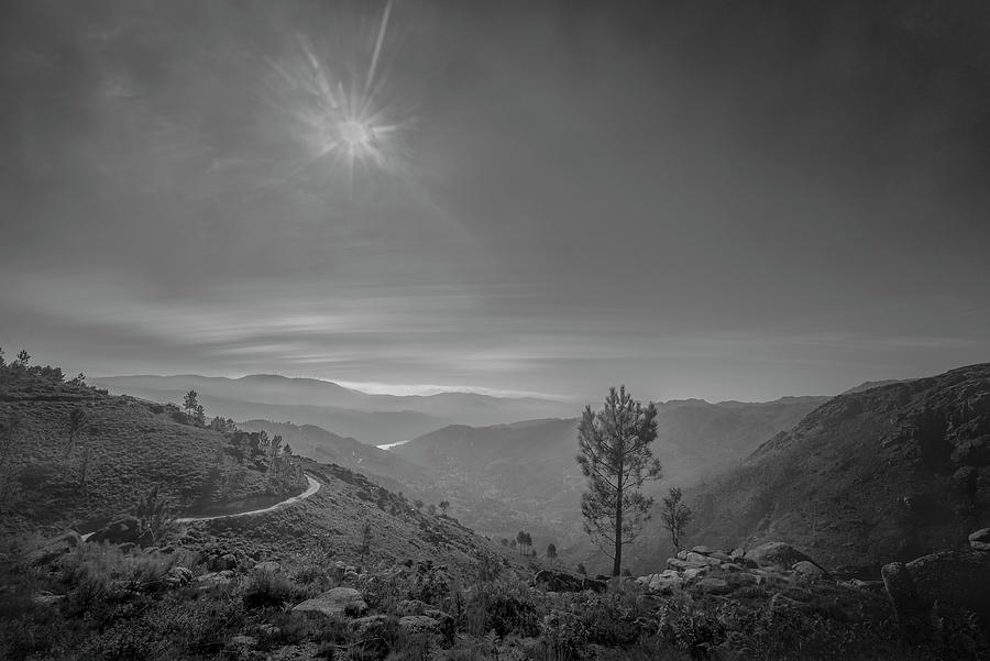 Geres - One Tree by Bruno Rosa Geres - One Tree by Bruno Rosa