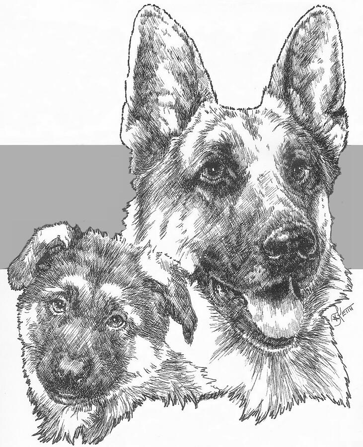 German Shepherd and Pup Drawing by Barbara Keith