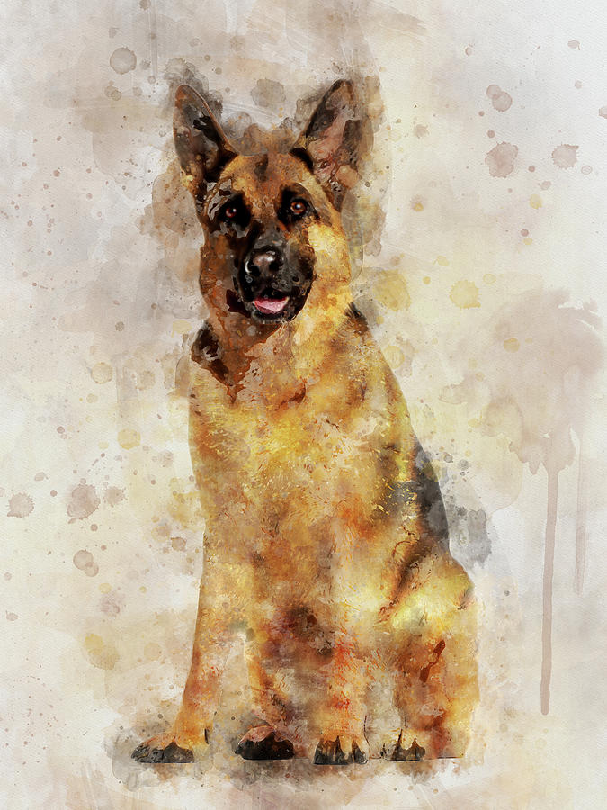 https://images.fineartamerica.com/images/artworkimages/mediumlarge/2/german-shepherd-dog-watercolor-portrait-03-jose-elias-sofia-pereira.jpg