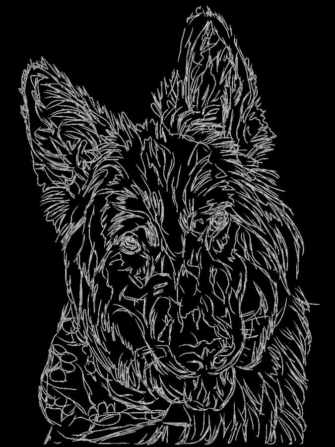 German Shepherd Pooch  Digital Art by Lois Ivancin Tavaf