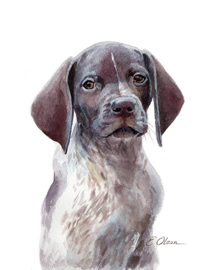 German Shorthaired Pointer Puppy Painting - German Shorthaired Pointer Pup by Emily Olson