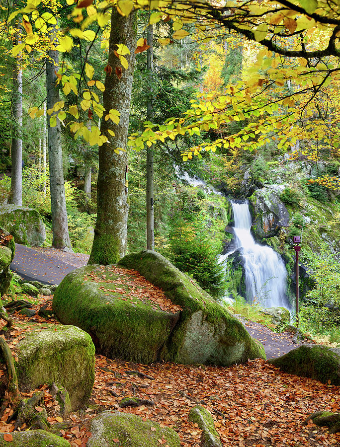 Germany, Baden-wurttemberg, Black Forest, Triberg Waterfalls Digital Art by Francesco Carovillano
