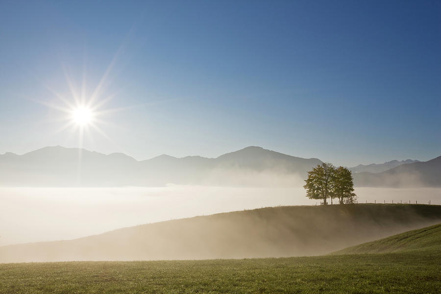 Germany, Bavaria, Field Covered With Fog Photograph by Fotofeeling