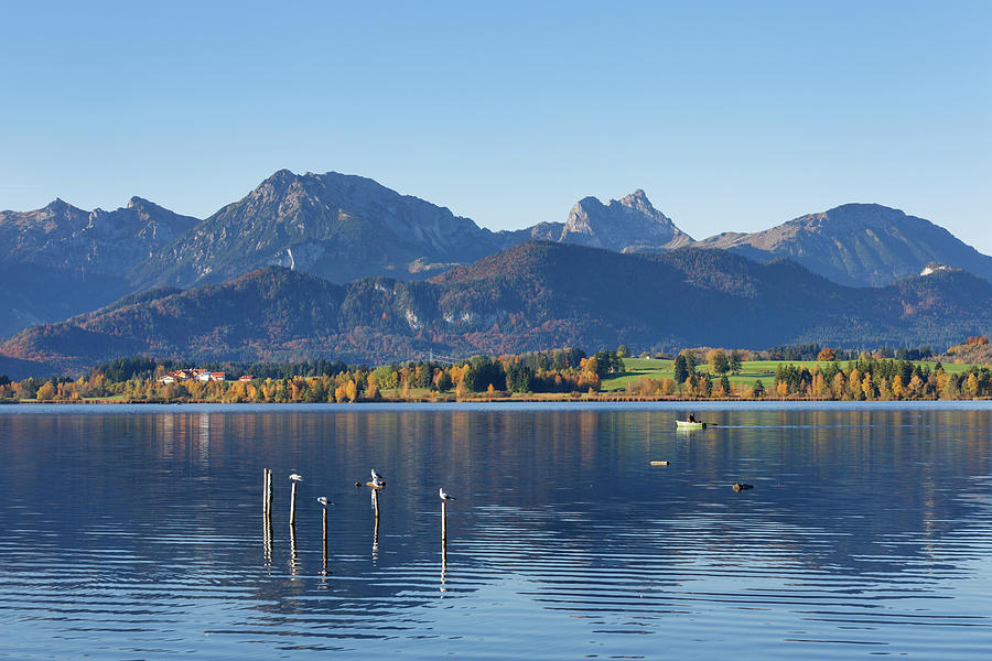 Germany, Bavaria, View Of Hopfensee Lake Photograph by Westend61