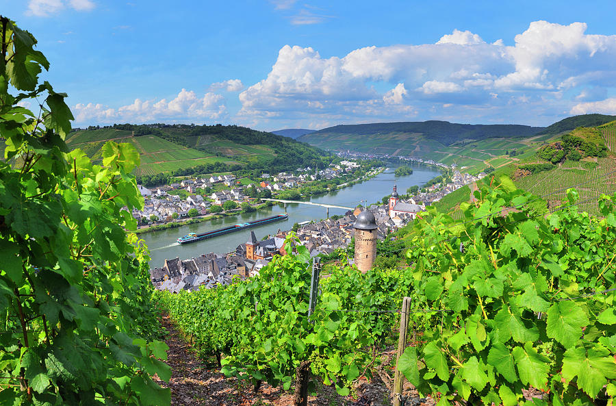 Germany, Rhineland-palatinate, Moselle Valley, Moselle Wine Route, Zell An Der Mosel, Moselle River And Typical Vineyards Digital Art by Luca Da Ros