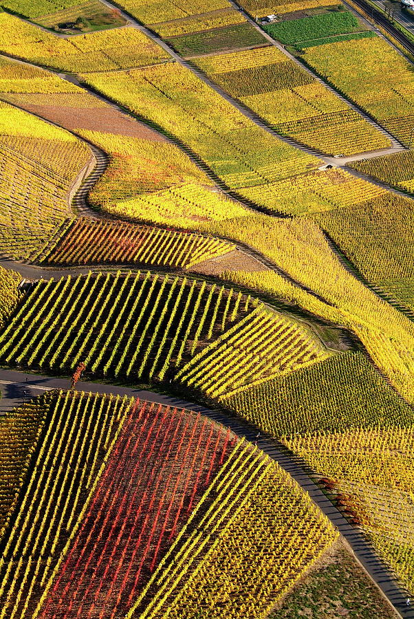 Germany, View Across The Vineyards Digital Art by Hans-peter Merten