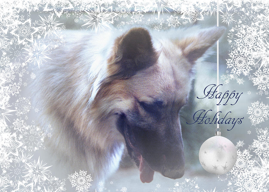 Gernan Shepherd Holiday by Robert G Kernodle Gernan Shepherd Holiday by Robert G Kernodle