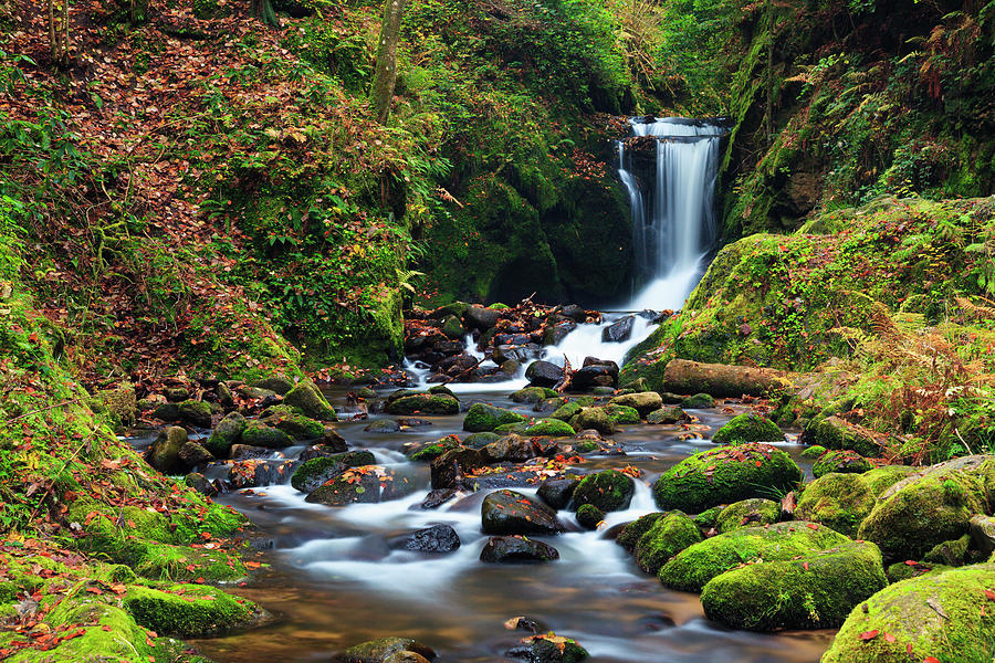 Geroldsau Waterfall In Autumn, Black by F. Lukasseck