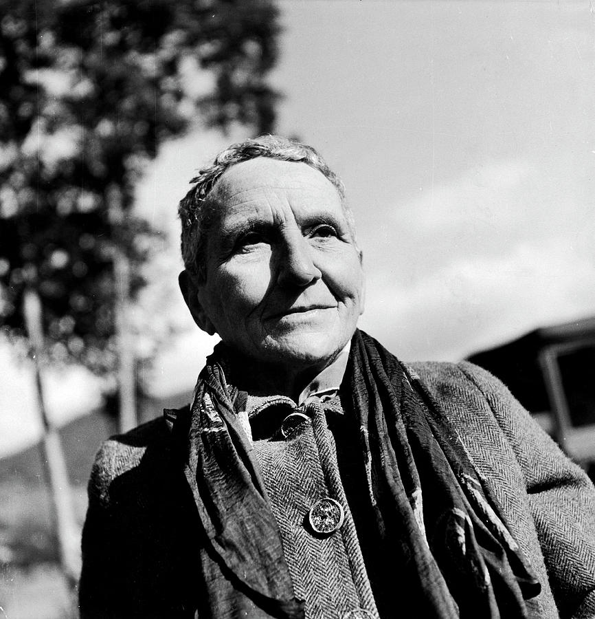 Gertrude Stein Digital Art by Carl Mydans - Fine Art America