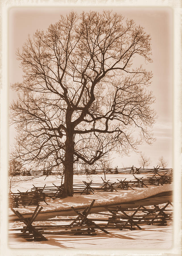 Gettysburg at Rest - Winter Blanket No. 1 Across the Wheatfield Road Near the Peach Orchard Photograph by Michael Mazaika
