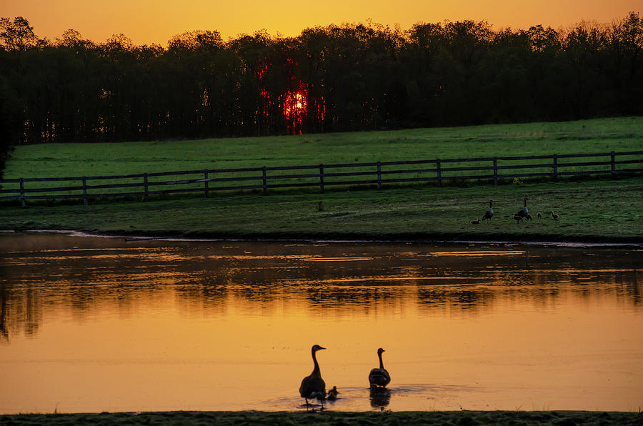 Gettysburg Pennsylvania - Sunrise on a Duck Pond Photograph by Bill Cannon