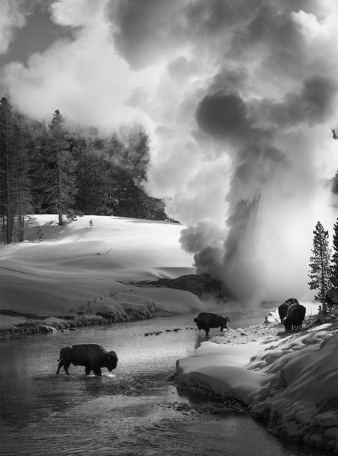 Yellowstone National Park Photograph - Geyser In Action by Shenshen Dou