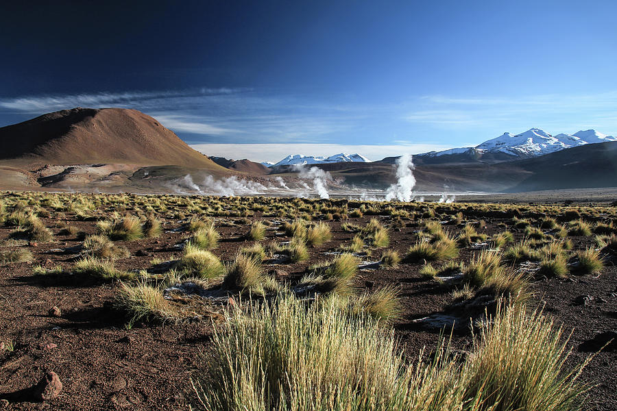 Geyser Part Tatio Photograph by Gabriel Suzuki Geyser Part Tatio Photograph by Gabriel Suzuki
