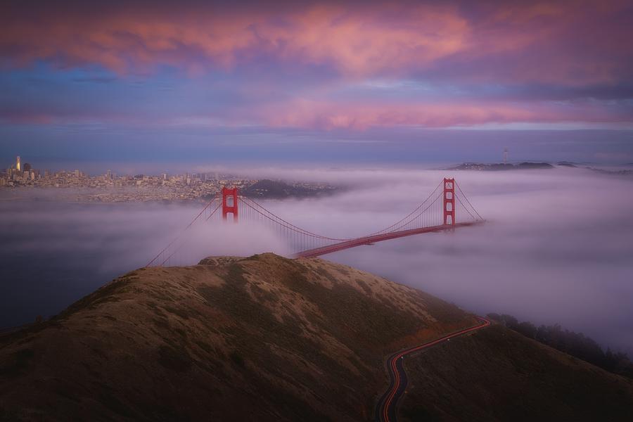 Tree Photograph - Ggb Fog by Chengming