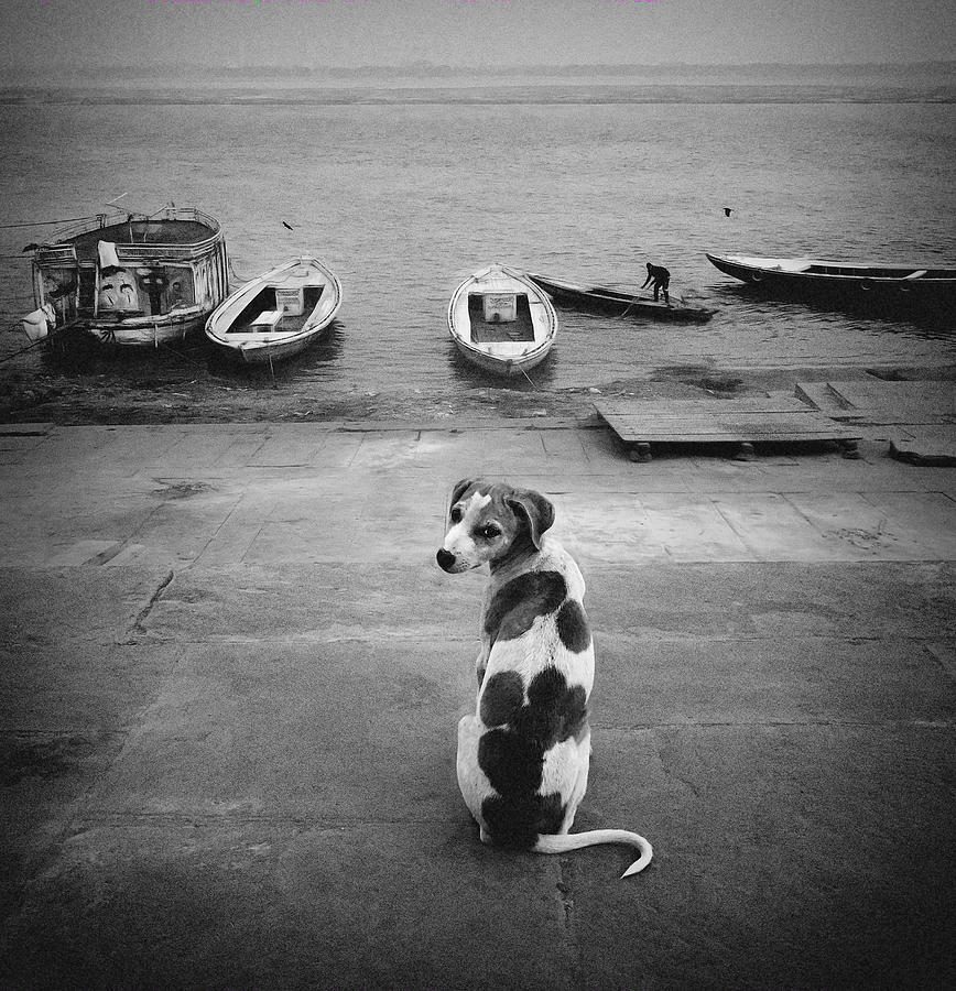 Black And White Photograph - Ghats by Roxana Labagnara