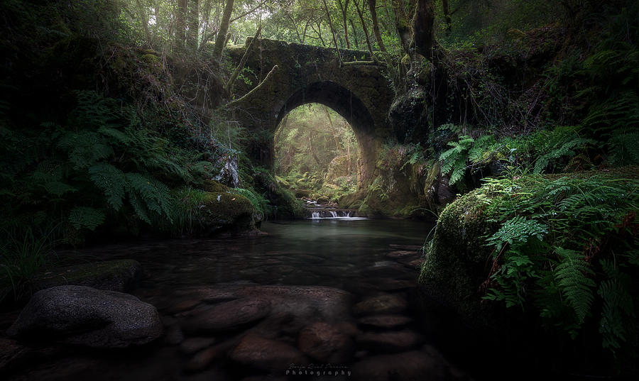 Ghost Bridge Photograph by Borja Rial Pereira