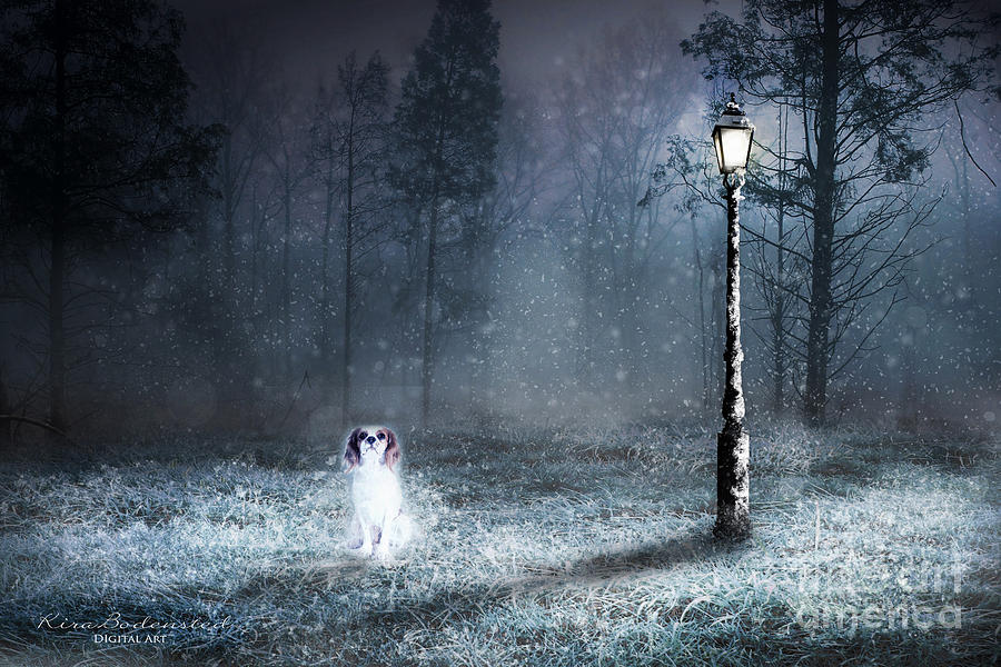 Ghost Dog Photograph by Kira Bodensted