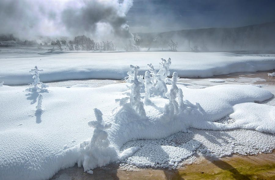 Yellowstone National Park Photograph - Ghost Trees by Dianne Mao