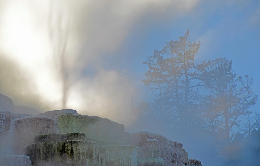 Ghostly Mammoth Terrace in Yellowstone Photograph by Bruce Gourley