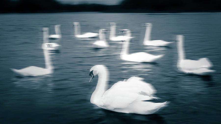 Ghosts on the Lake Photograph by Carl H Payne