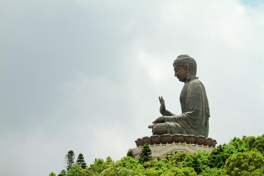 Giant Buddha Photograph by Yuenwu
