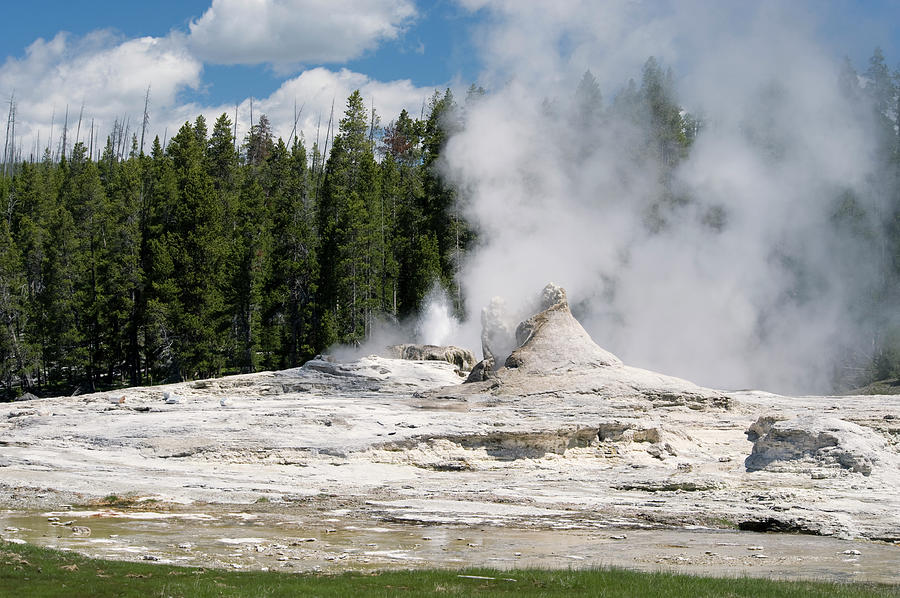 Giant Geyser Erupting At Yellowstone Photograph by Jskiba