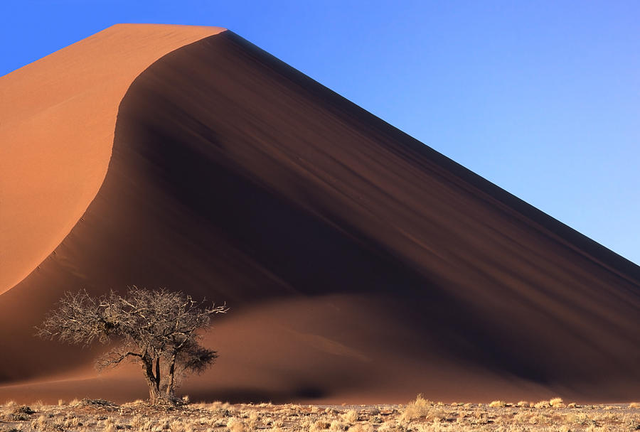 Giant Red Sand Dune, Sossusvlei, Namibia Photograph by Rosemary Calvert