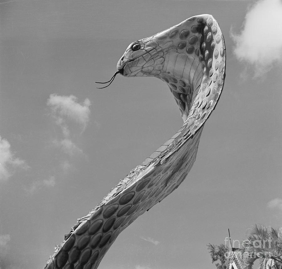 Giant Replica Of King Cobra Photograph by Bettmann