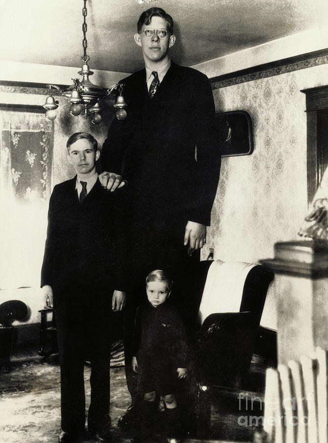 Giant Robert Wadlow Standing Photograph by Bettmann