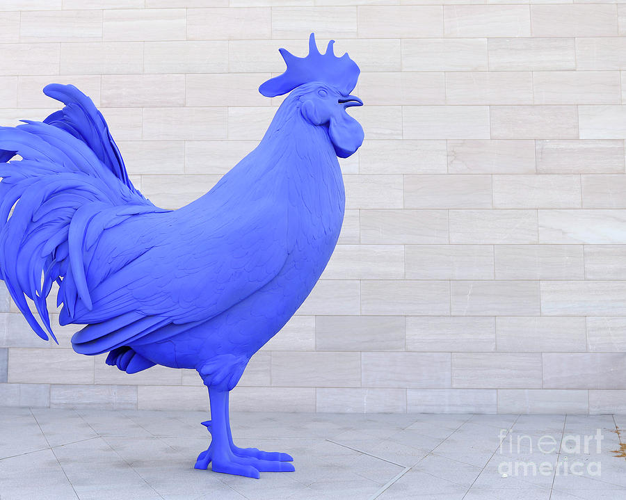 Chicken Photograph - Giant Rooster Chicken Sculpture Washington DC by Edward Fielding