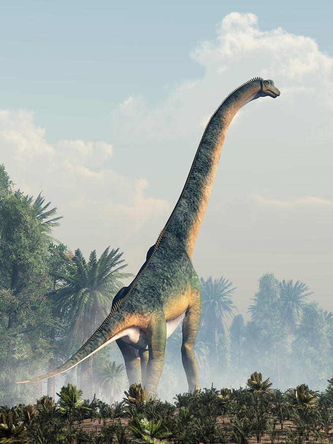 Giant Sauropod Walking Away Digital Art by Daniel Eskridge
