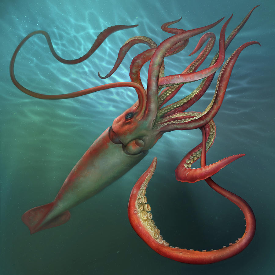 Giant Squid Digital Art By Eldar Zakirov