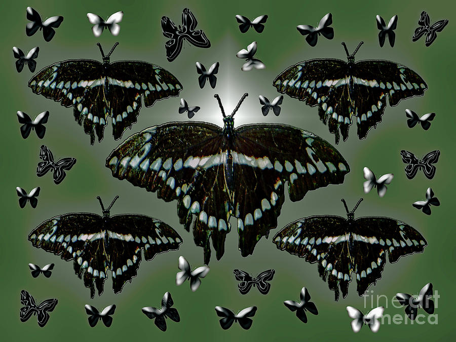 Giant Swallowtail Butterflies Photograph by Rockin Docks Deluxephotos