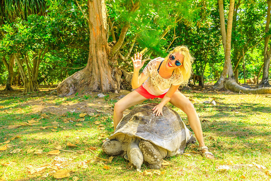 Giant Tortoise Curieuse woman Photograph by Benny Marty