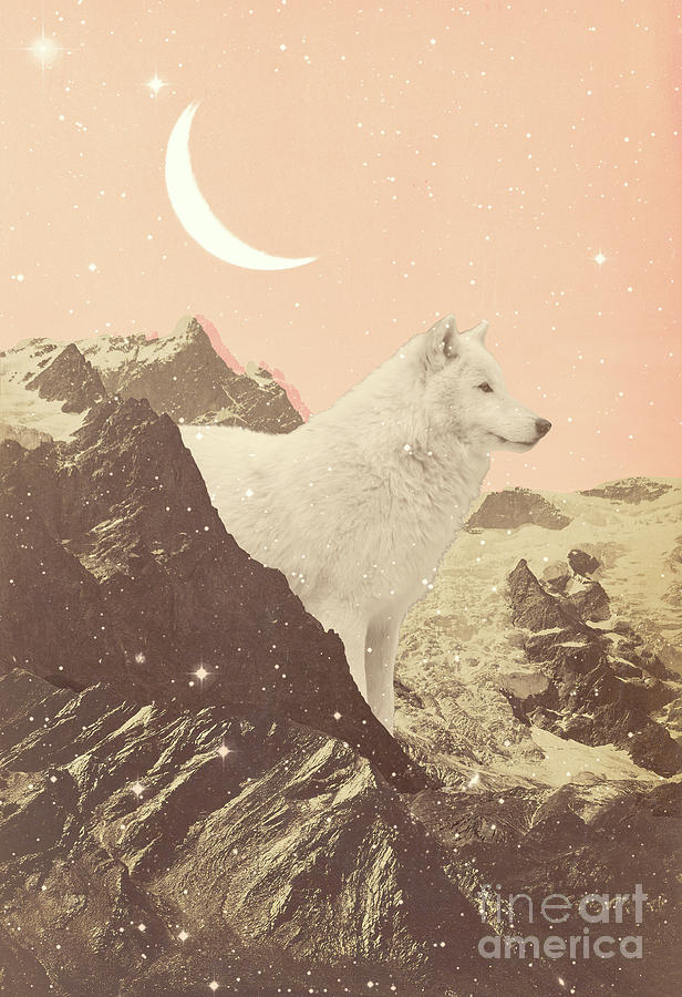 Giant Wolf In Pink Mountains, Collage Painting by Florent Bodart