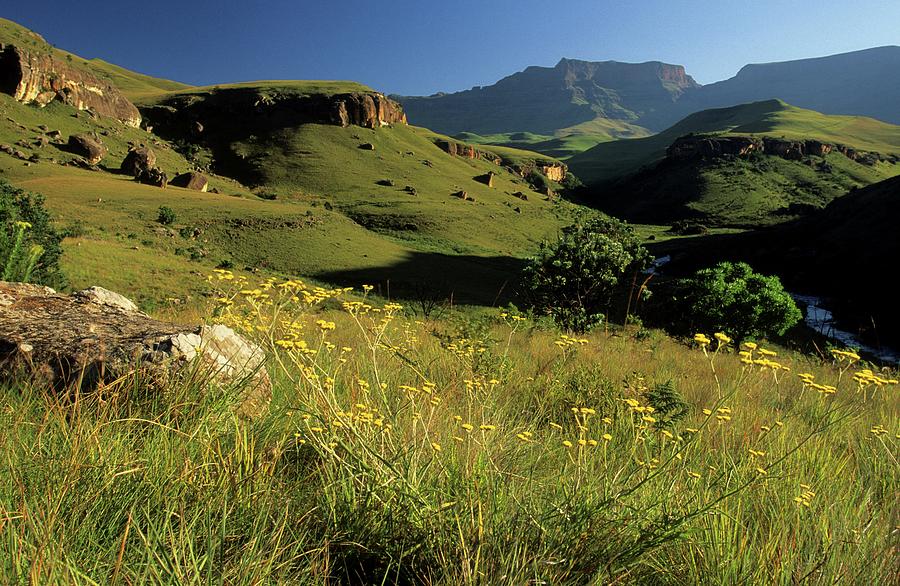 Giants Castle. Ukahlamba Drakensberg Photograph by Roger De La Harpe ...