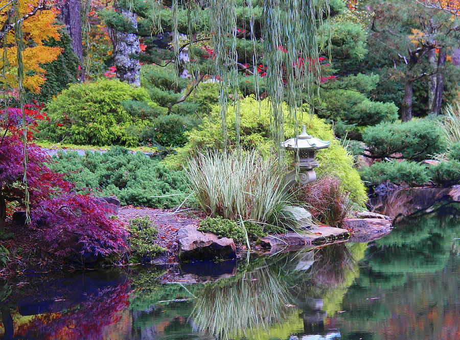 Gibbs Garden 2 Photograph by Cathy Lindsey - Fine Art America