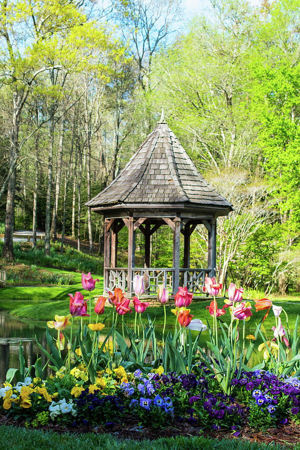 Gibbs Gardens Gazebo in Springtime Photograph by Mary Ann Artz