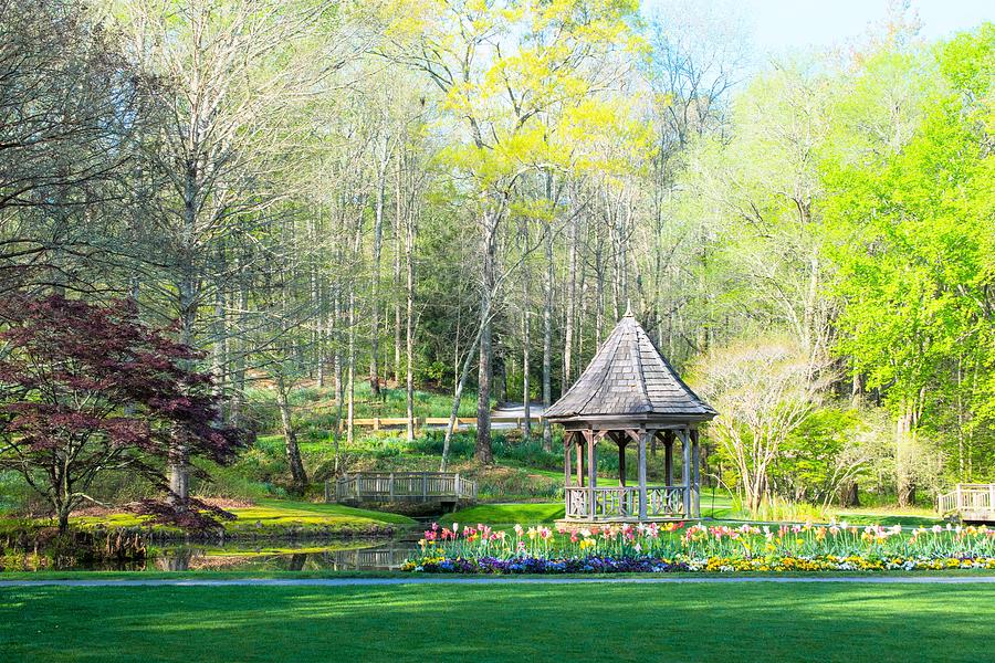 Gibbs Gardens in Springtime Photograph by Mary Ann Artz