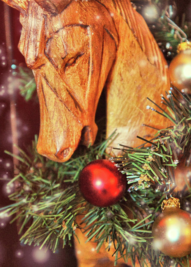 Christmas Photograph - Giddy Up by Dressage Design