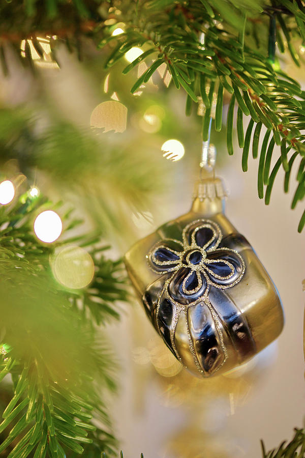 Gift-shaped Christmas Bauble Hanging From Branch Photograph by Angelica Linnhoff