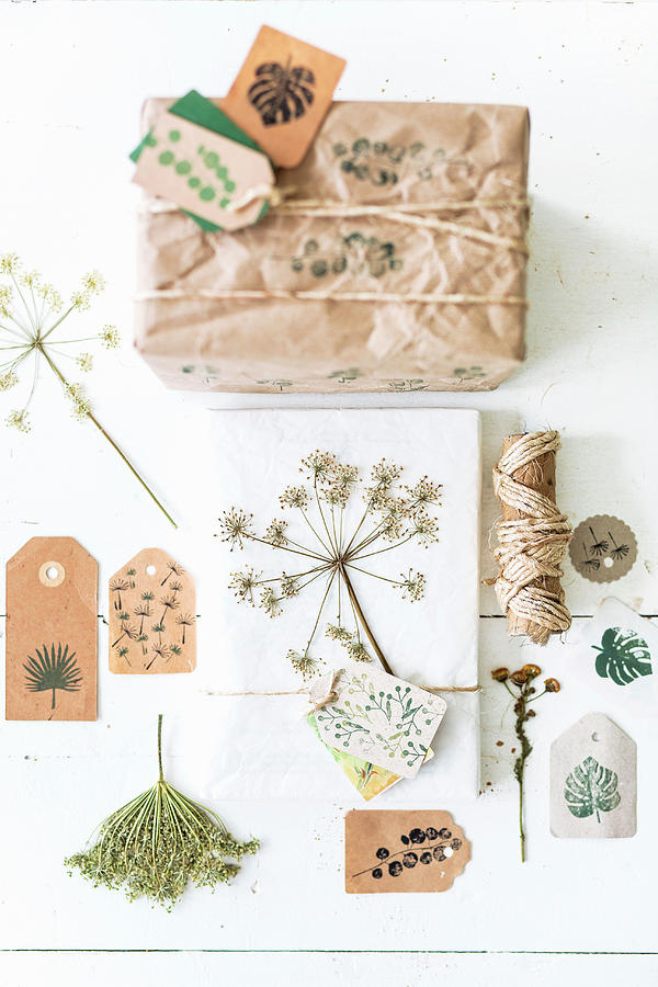 Gift Wrap Idea Using Botanical Motifs Photograph by Syl Loves
