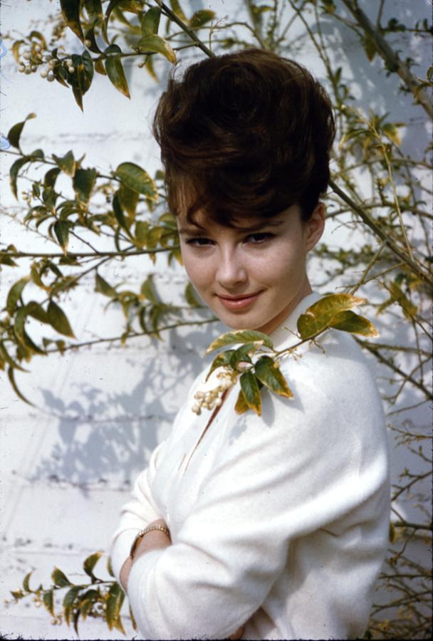 Gigi Perreau Photograph by Bill Kobrin Pixels