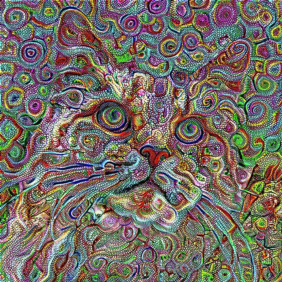 Gigi the Colorful Abstract Cat Digital Art by Peggy Collins