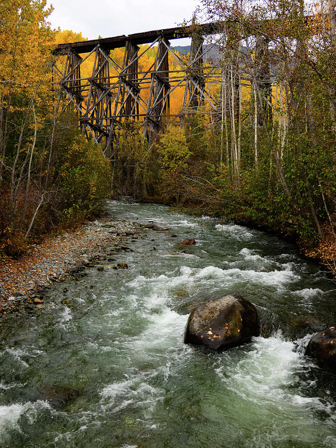 Gilahina River and Trestle Photograph by Dianne Milliard