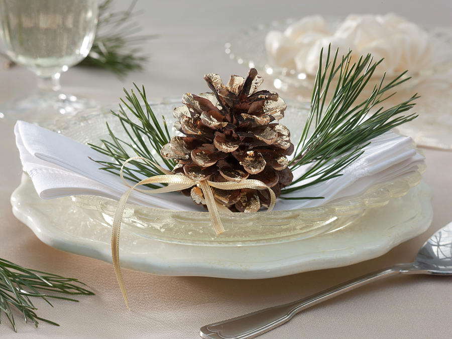 Gilded Pinus With Branch Tips As Napkin Deco Photograph by Friedrich Strauss