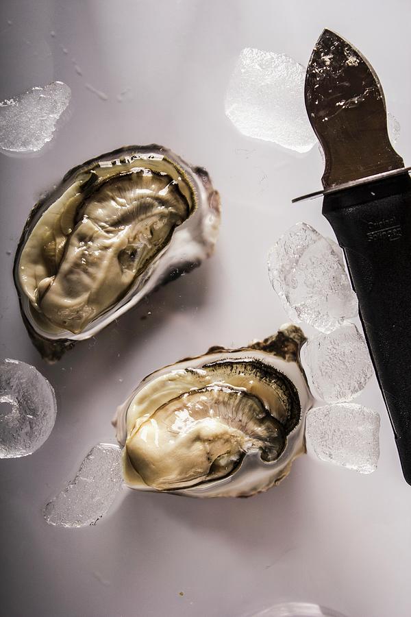 Gillardo Oyster With Knife Photograph By Vulman Péter - Fine Art America