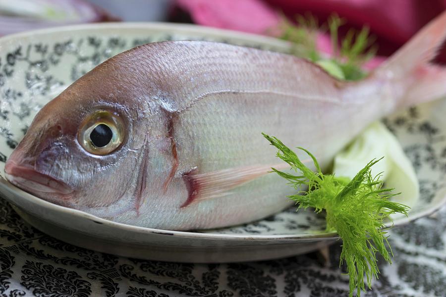 Gilthead Seabream On A Black-and-white Patterned Plate Photograph by Charlotte Von Elm