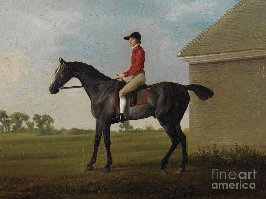 Gimcrack, With John Pratt Up, On Newmarket Heath, 1795 Painting by George Stubbs