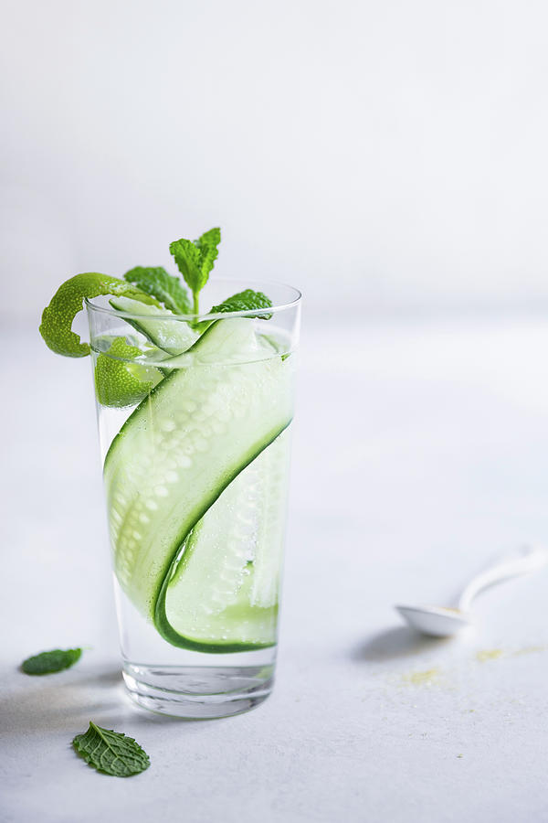 Gin And Tonic With Cucumber And Mint Photograph by Nadja Hudovernik Food Photography